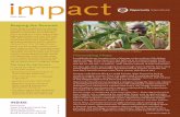 Fall 2010 Impact Newsletter