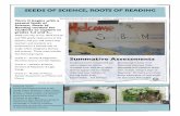 Seeds of Science, Roots of Reading Term 1 News