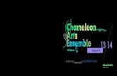 Chameleon Arts Ensemble 2013-14 Season Brochure