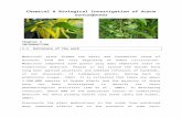 Chemical & Biological Investigation of Acacia auriculiformis