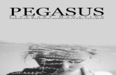 Pegasus 2011