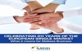 Celebrating 20 Years of the European Single Market: What it means for Maltese Business