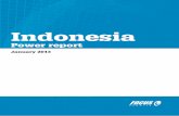 Power Indonesia report 2012
