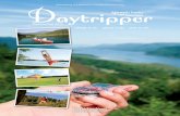 Daytripper - Summer Edition