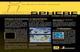 Infosphere Newsletter-Winter 2008