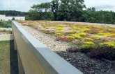 Green Roof from left 08 s