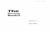 The Burning Bush 2, issue #3