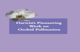 Darwin's Pioneering Work on Orchid Pollination
