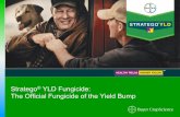 Stratego® YLD - Corn & Soybean Fungicide