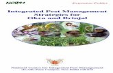 Integrated Pest management Strategies for Okra and Brinjal, NCIPM