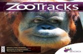 ZooTracks Fall 2013