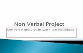 Non Verbal project