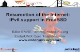 Ressurection of Internet: IPv6 Support in FreeBSD