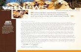 vetNews Summer 2013: Veterinarian Founded, Veterinary Focused
