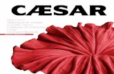 CAESAR Magazine