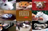 About the Animal Rescue League of Boston