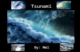 2013 04 28  Sun  Tsunami- Mel