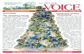 12-2012 Village Voice