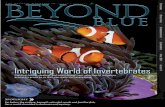 Beyond Blue Issue 11