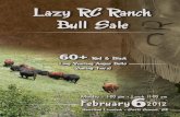 Lazy RC Bull Sale