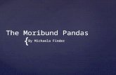 Moribund Panda