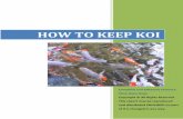 How To Keep Koi