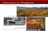 Virginia Politics On Demand: Autumn