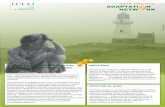 APAN Sub-regional Node flyer: Local Governments for Sustainability (ICLEI)