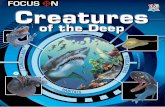 Focus On Creatures of the Deep