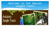 Welcome to the Peru Amazon Jungle Tours