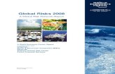 Global Riskd 2008 - WEF