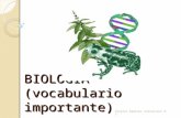 Biologia(Vocabulario Importante)