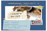 Homework project 2