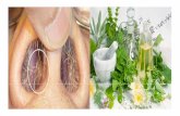 Nasal Polyps Homeopathic Treatment