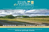 Vol 2 Issue 2A Peak Swirles & Cavallito Properties