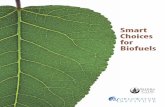 Smart Choices for Biofuels