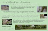 Willow care leaflet