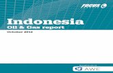 Oil and Gas Indonesia report 2012