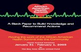 Bay Area African-American Health Initiative - 2003