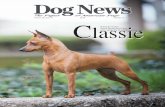 Dog News, October 12, 2012