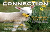 Connection Magazine of First Bapist Forney