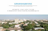 Mozambique: National Urban Profile - Portuguese