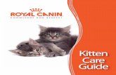 Royal Canin Kitten Care Guide