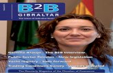 B2B Gibraltar - Volume 8 Nº 4