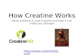 How Creatine Works