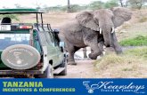 Tanzania incentives & conferences