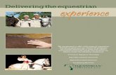 2010 Equestrian Services, LLC Brochure