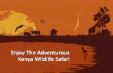 Enjoy The Adventurous Kenya Wildlife Safari