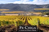 Fe Ciega: A Year of Pinot Noir