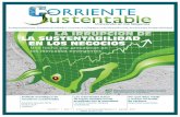Revista Corriente Sustentable - Número 1 - 2011